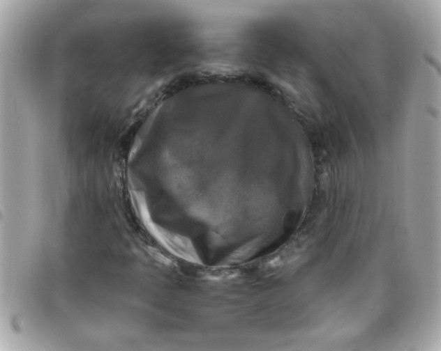 X0000097781397200803211748