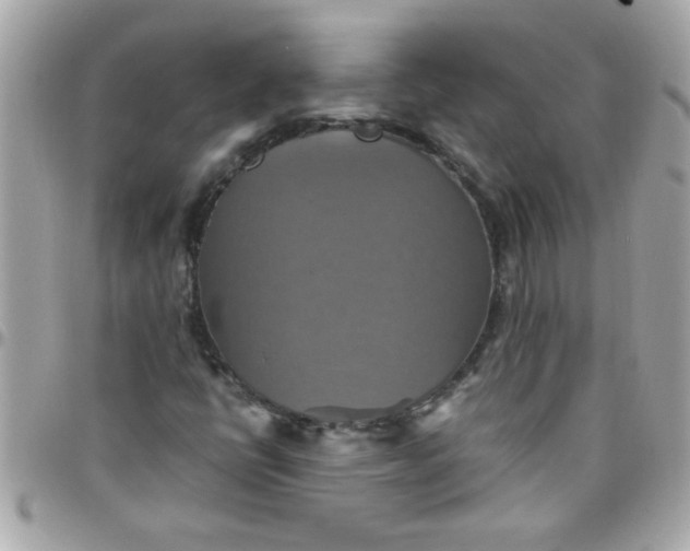 X0000097781398200803211748