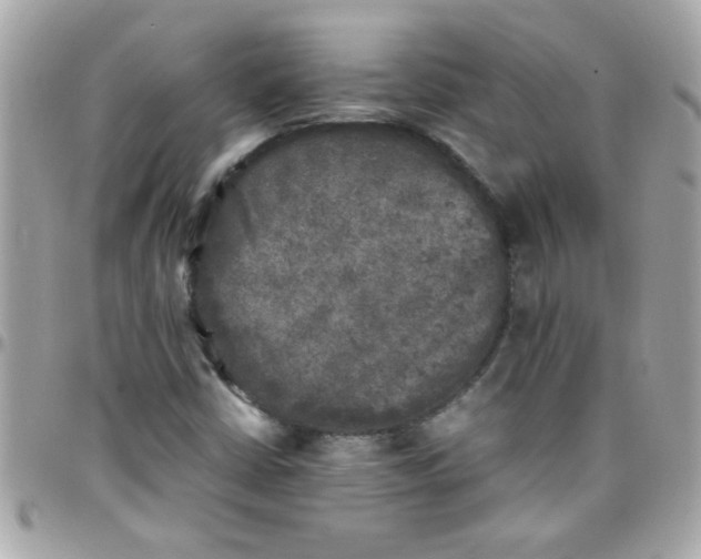 X0000097781402200803211748