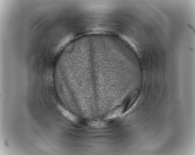 X0000097781403200803211748