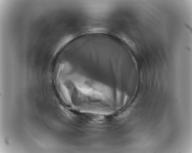 X0000097781405200803211748