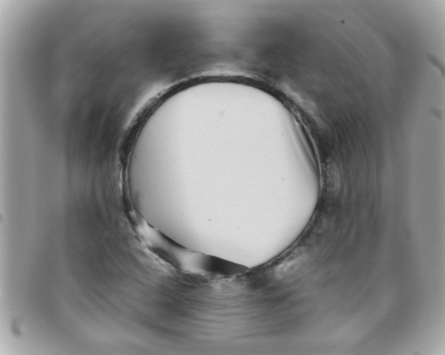 X0000097781408200803211748