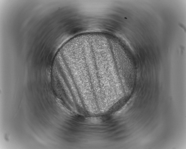 X0000097781409200803211748