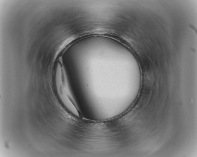 X0000097781410200803211748