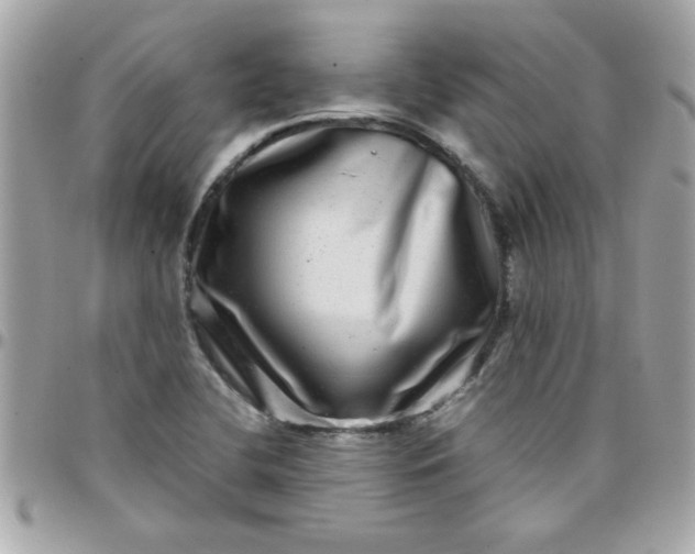 X0000097781412200803211748