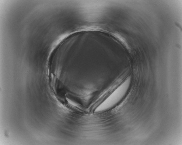 X0000097781414200803211748