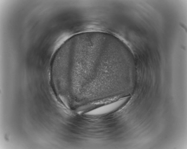 X0000097781415200803211748