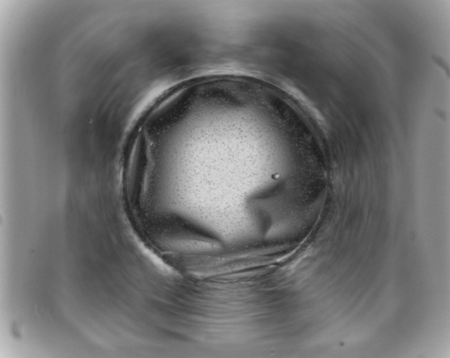 X0000097781416200803211748