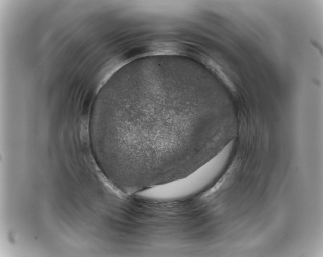 X0000097781417200803211748