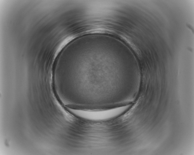 X0000097781418200803211748