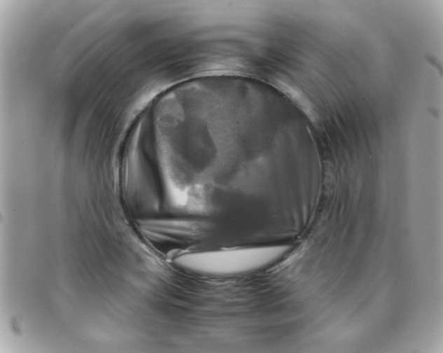 X0000097781419200803211748