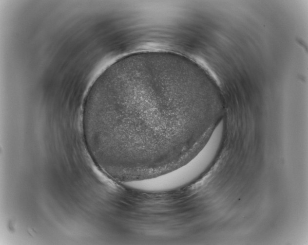 X0000097781421200803211748