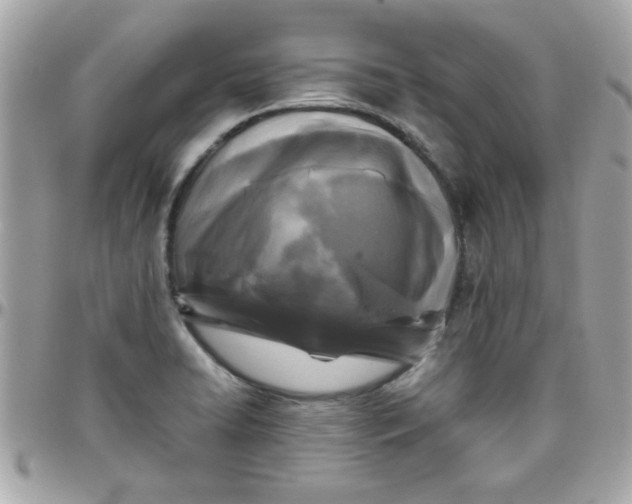 X0000097781422200803211748