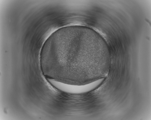 X0000097781423200803211748