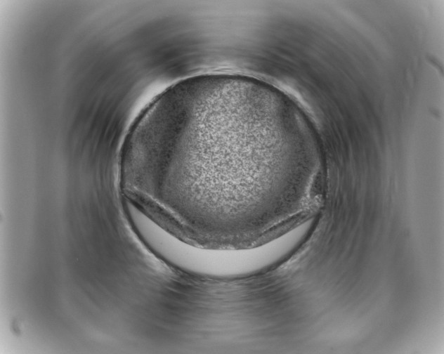 X0000097781424200803211748