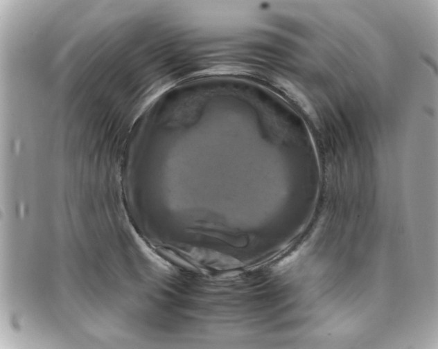 X0000097781425200803211748