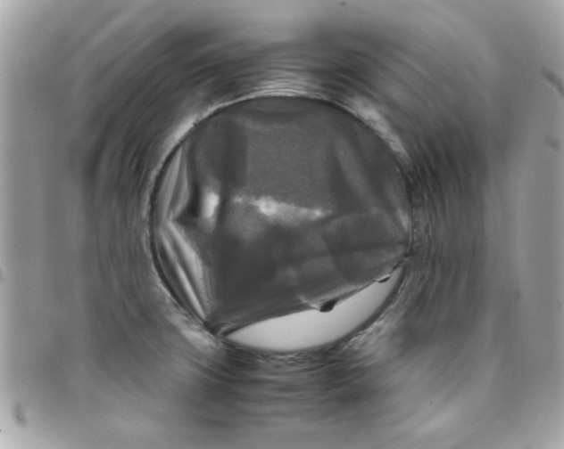 X0000097781427200803211749