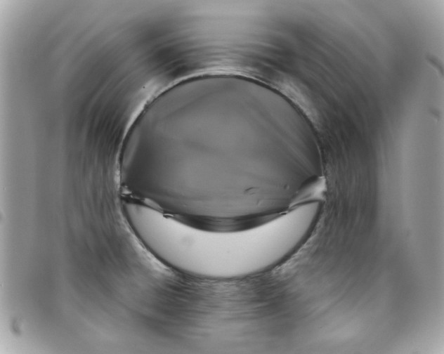 X0000097781428200803211749