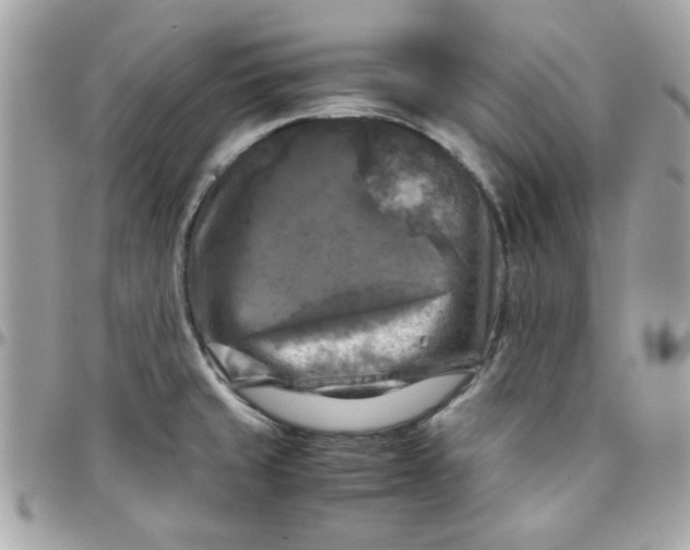 X0000097781429200803211749