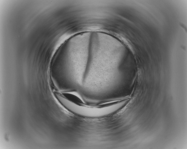 X0000097781432200803211749