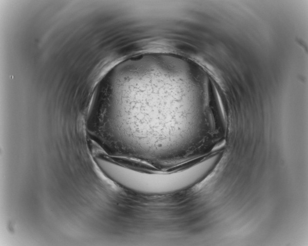 X0000097781433200803211749