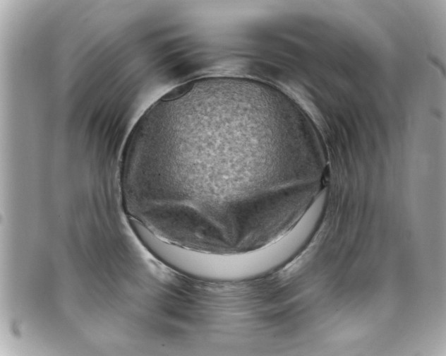 X0000097781434200803211749