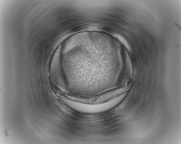 X0000097781435200803211749