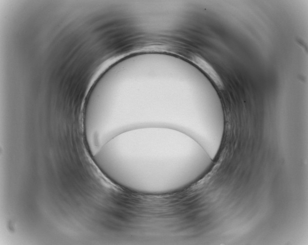 X0000097781436200803211749