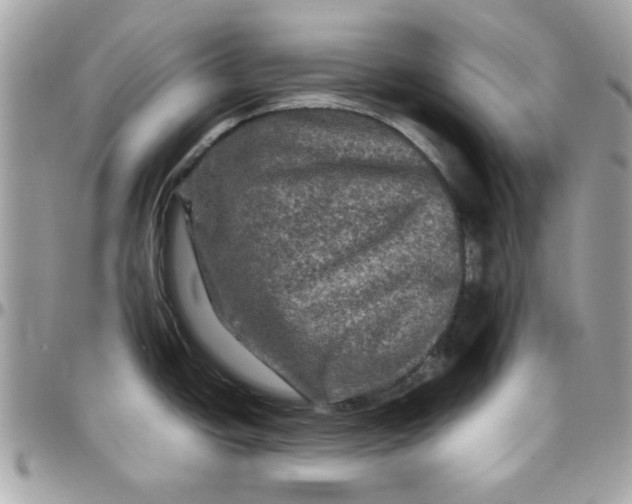 X0000097781438200803211749