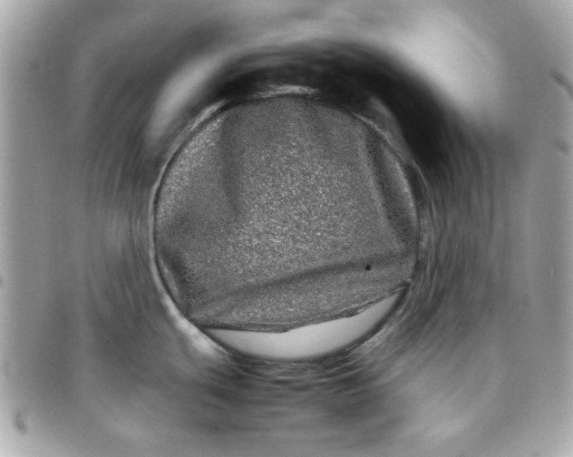 X0000097781439200803211749