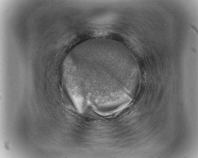 X0000097781441200803211748