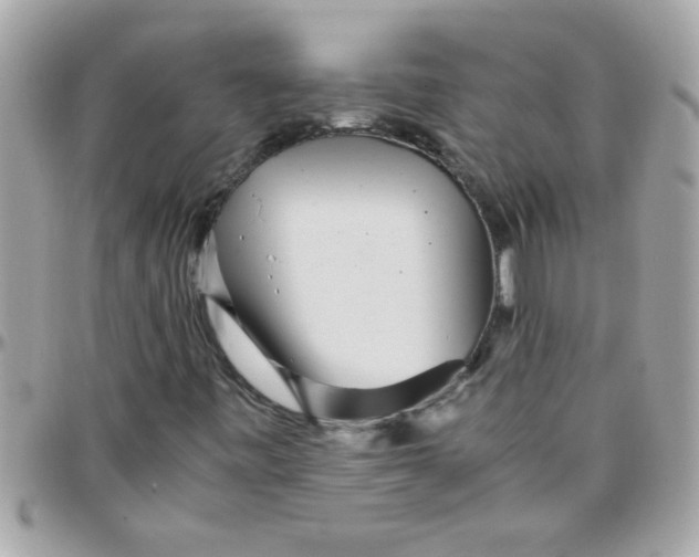 X0000097781443200803211748