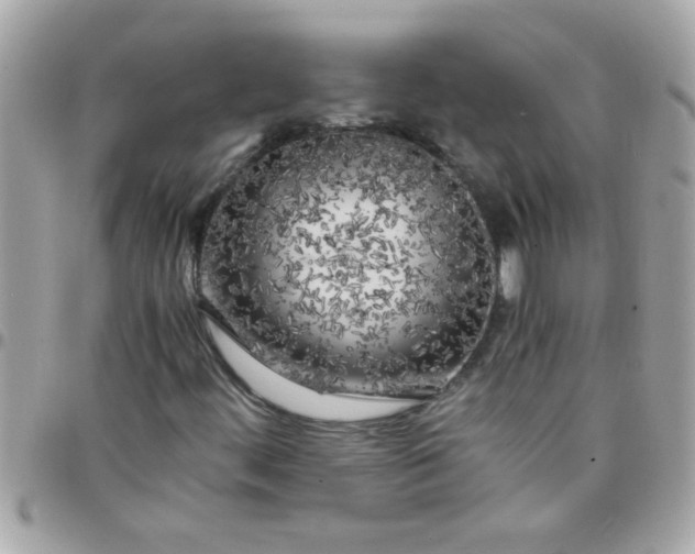 X0000097781444200803211748