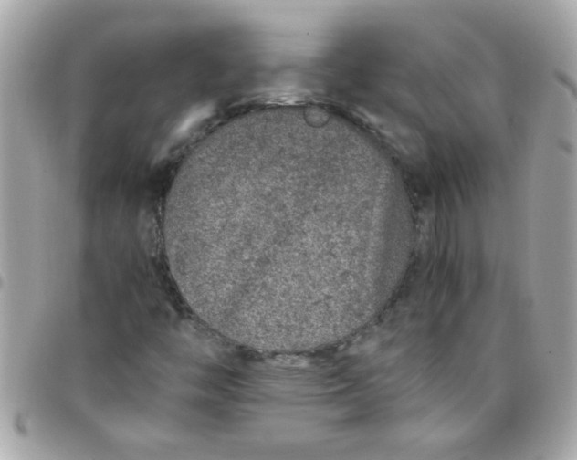 X0000097781446200803211748