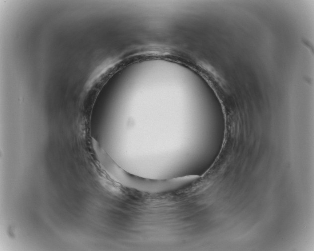 X0000097781448200803211748