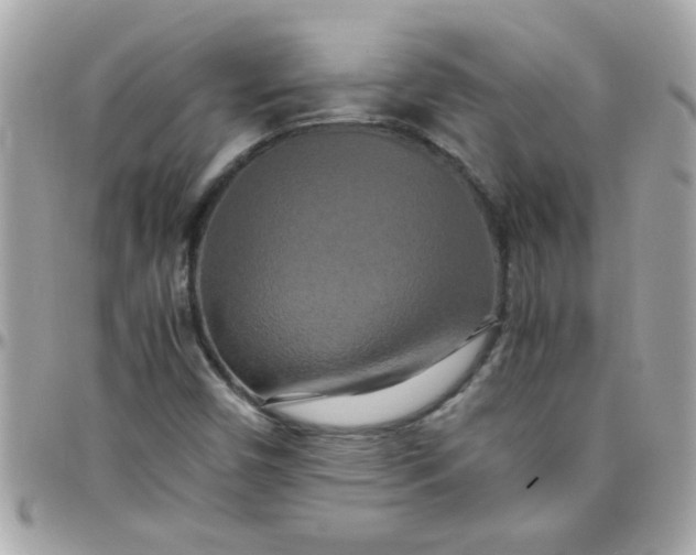 X0000097781450200803211748