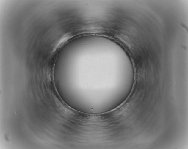 X0000097781451200803211748