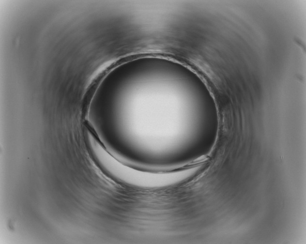 X0000097781452200803211748