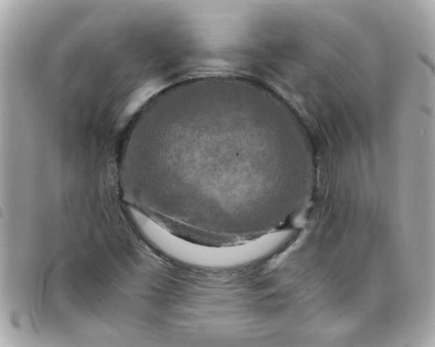 X0000097781453200803211748