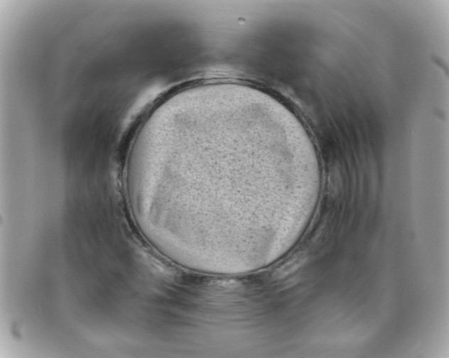 X0000097781454200803211748