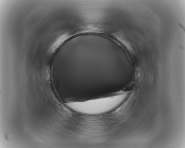 X0000097781455200803211748