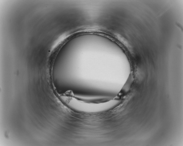 X0000097781456200803211748