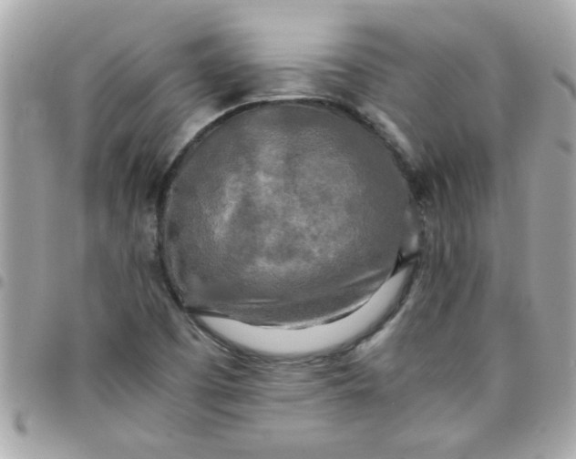 X0000097781457200803211748