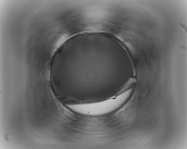 X0000097781459200803211748