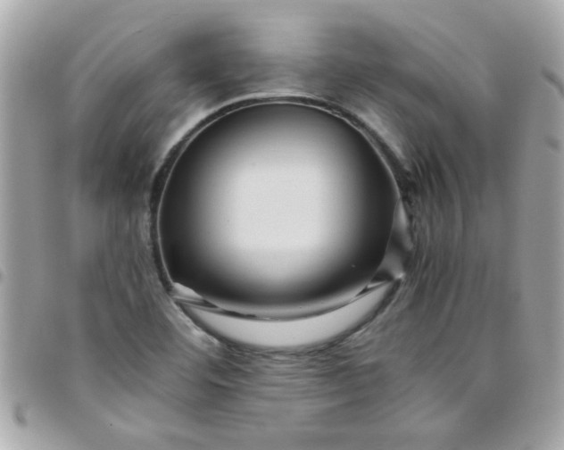 X0000097781460200803211748