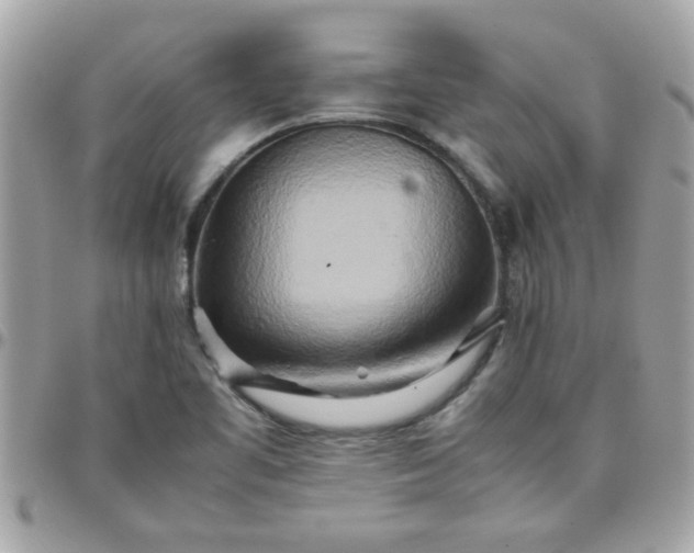 X0000097781461200803211748