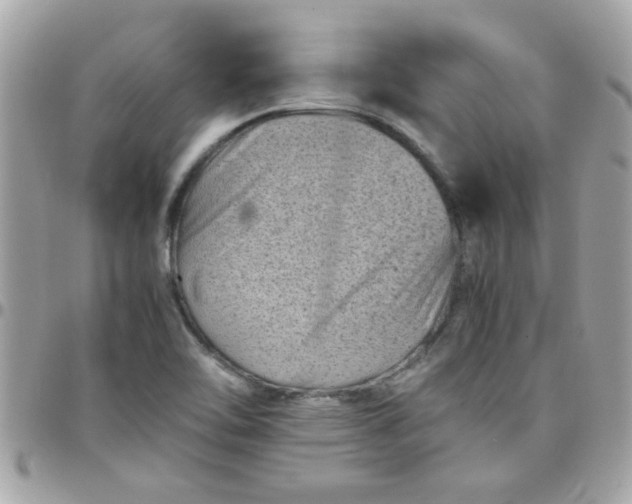 X0000097781462200803211748