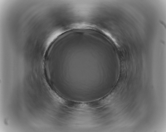 X0000097781463200803211748