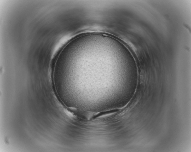 X0000097781464200803211748