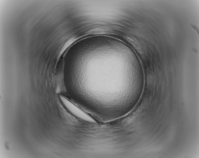 X0000097781465200803211748